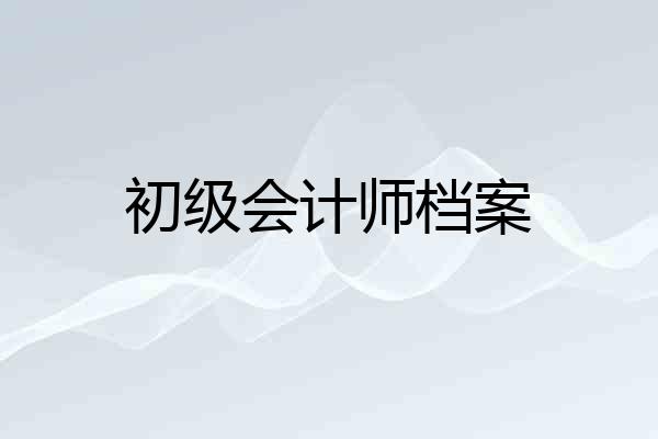 初级会计师档案