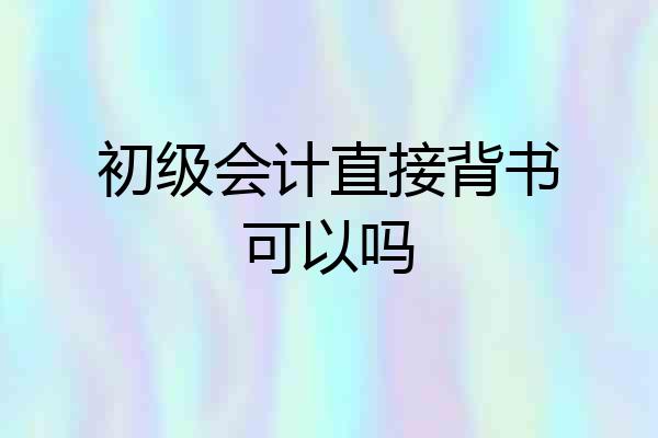 初级会计直接背书可以吗