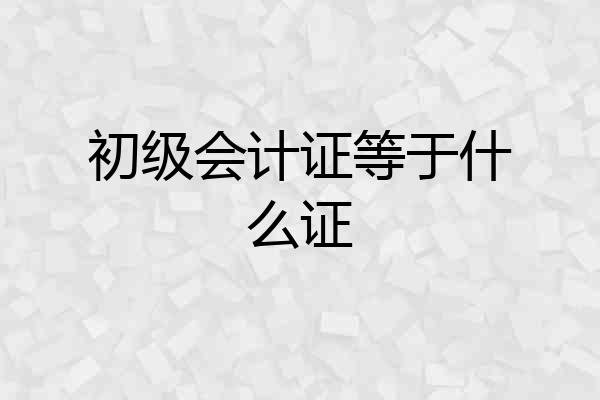 初级会计证等于什么证