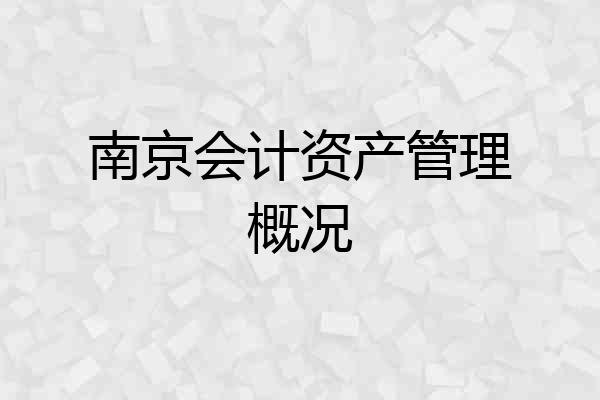 南京会计资产管理概况