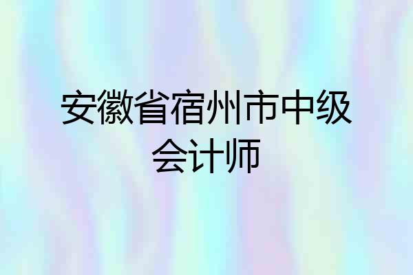 安徽省宿州市中级会计师