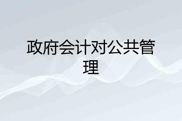 政府会计对公共管理