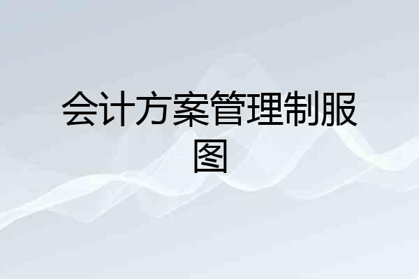 会计方案管理制服图
