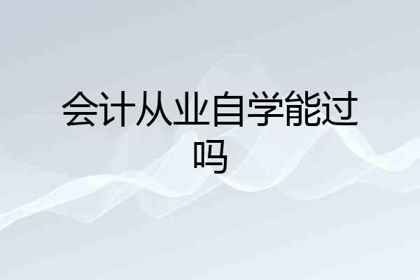 会计从业自学能过吗