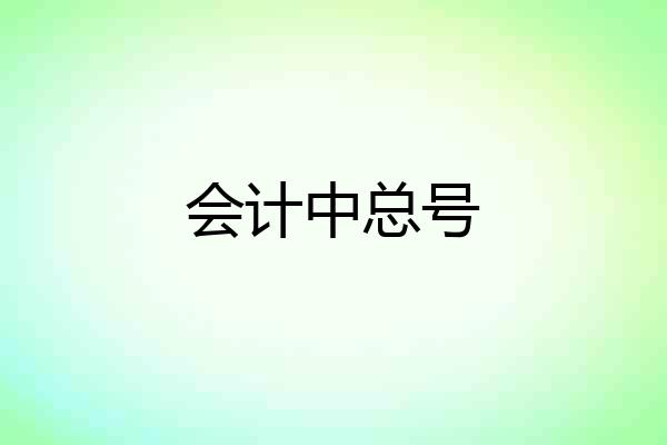 会计中总号