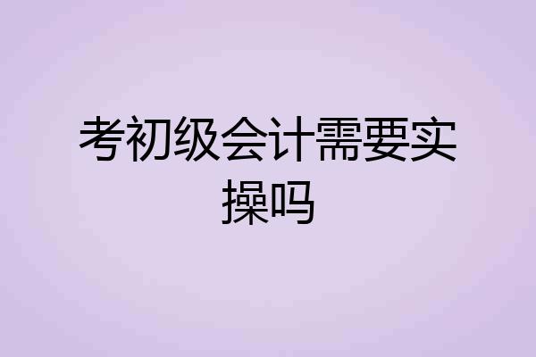 考初级会计需要实操吗