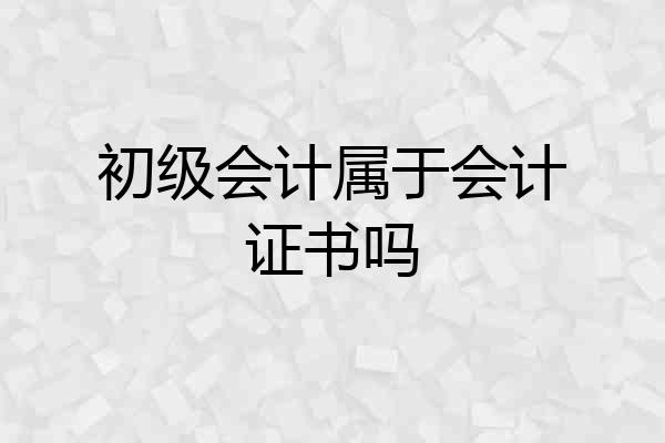 初级会计属于会计证书吗