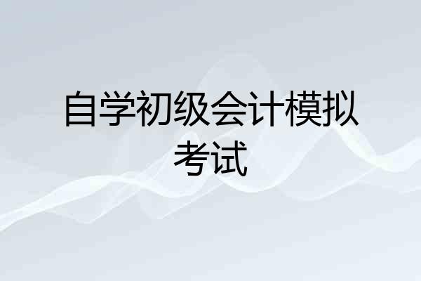 自学初级会计模拟考试