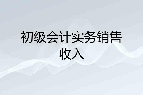 初级会计实务销售收入