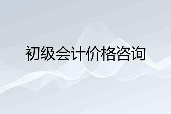 初级会计价格咨询