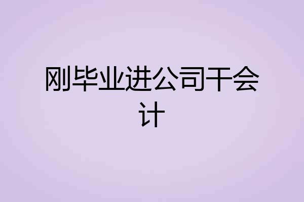 刚毕业进公司干会计