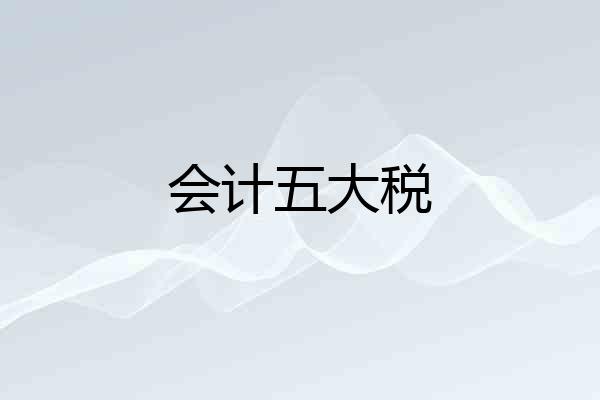 会计五大税