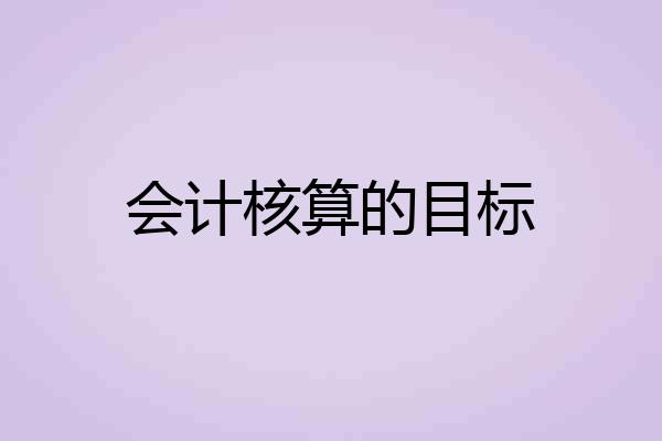 会计核算的目标
