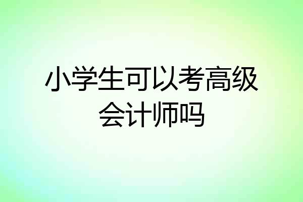 小学生可以考高级会计师吗