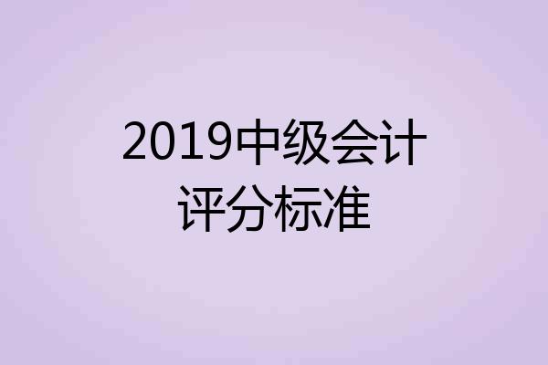 2019中级会计评分标准