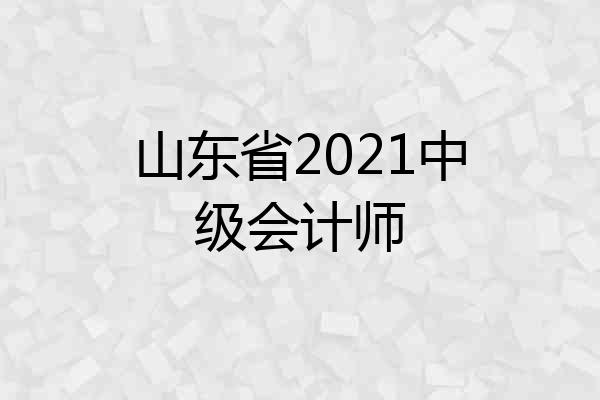 山东省2021中级会计师