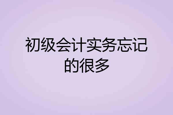 初级会计实务忘记的很多