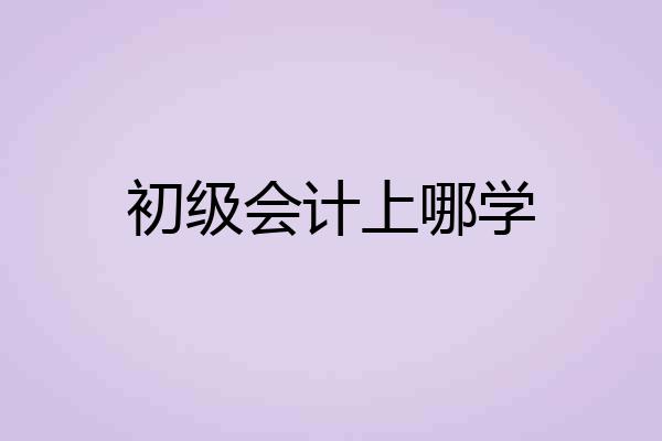 初级会计上哪学