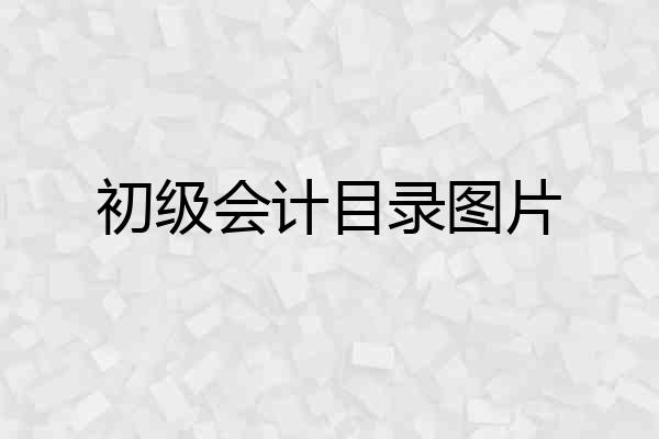 初级会计目录图片
