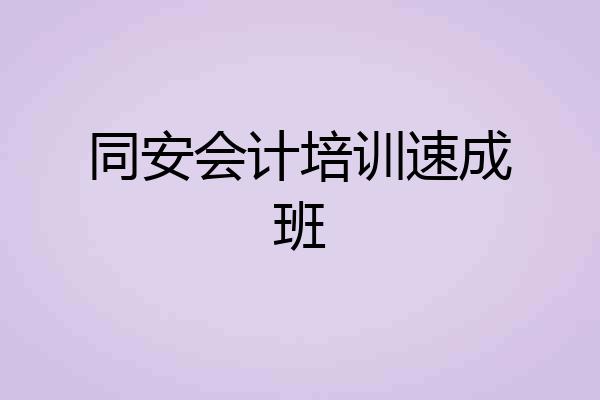 同安会计培训速成班