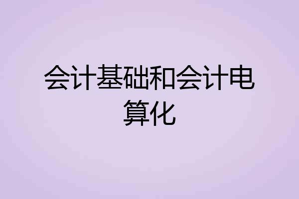 会计基础和会计电算化