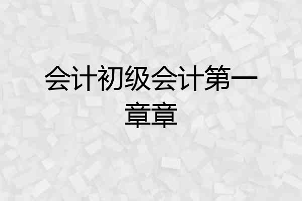 会计初级会计第一章章