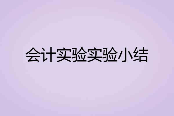 会计实验实验小结