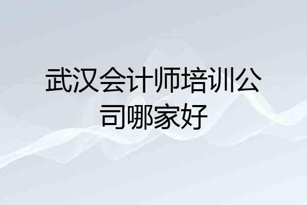 武汉会计师培训公司哪家好