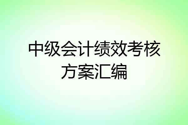 中级会计绩效考核方案汇编