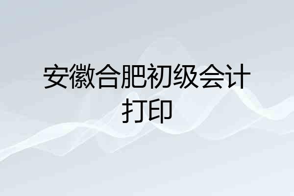 安徽合肥初级会计打印