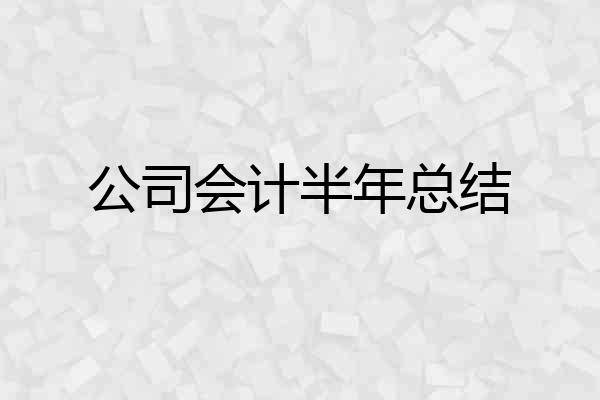 公司会计半年总结
