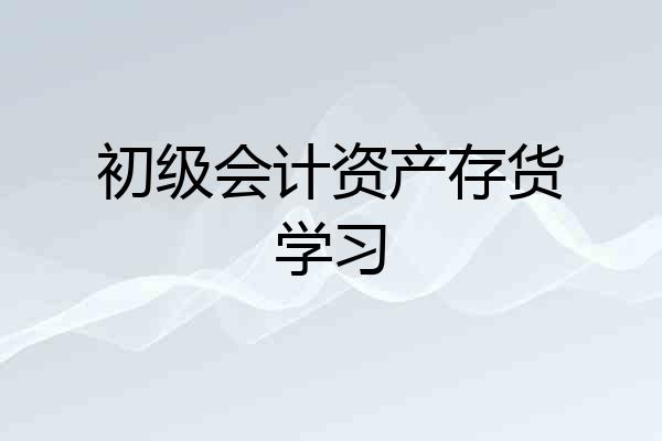 初级会计资产存货学习