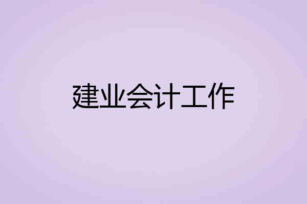 建业会计工作