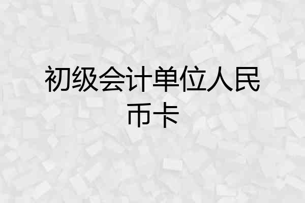 初级会计单位人民币卡