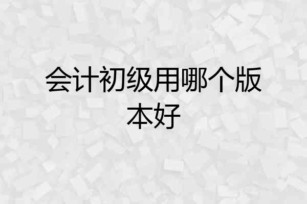 会计初级用哪个版本好