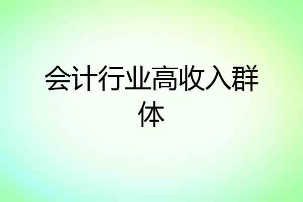 会计行业高收入群体