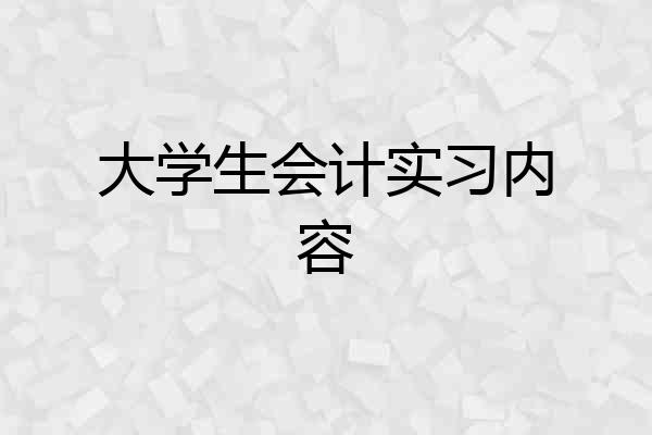 大学生会计实习内容