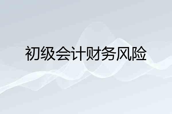 初级会计财务风险