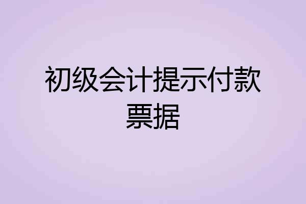 初级会计提示付款票据
