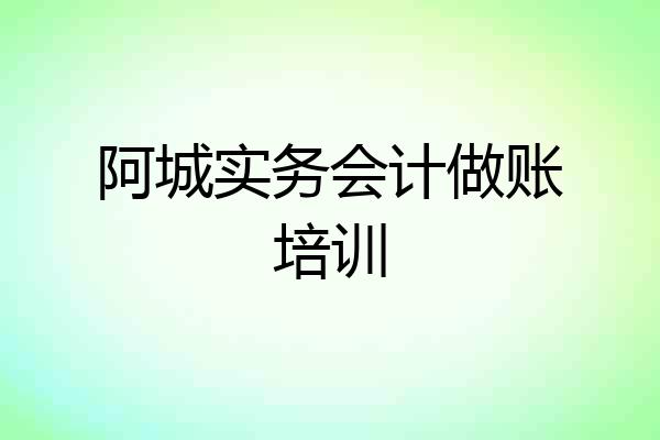 阿城实务会计做账培训