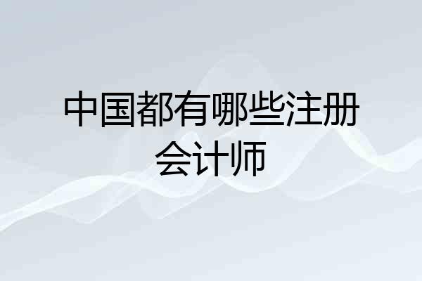 中国都有哪些注册会计师