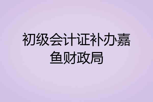 初级会计证补办嘉鱼财政局