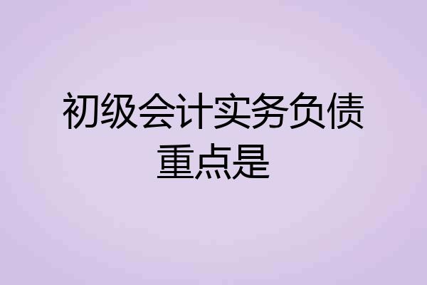 初级会计实务负债重点是