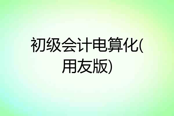 初级会计电算化(用友版)