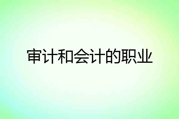 审计和会计的职业