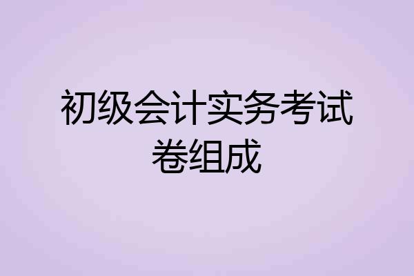 初级会计实务考试卷组成