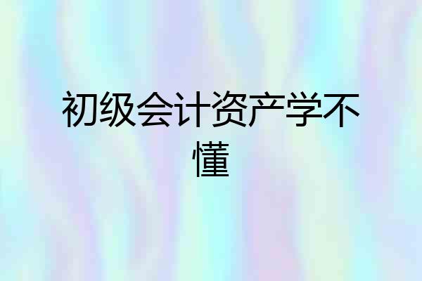 初级会计资产学不懂