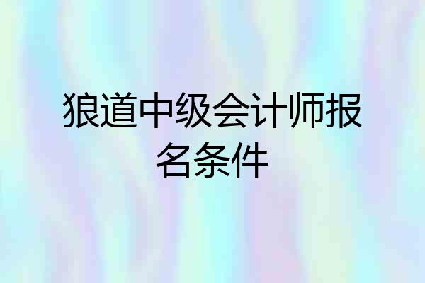 狼道中级会计师报名条件