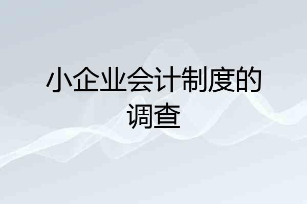 小企业会计制度的调查