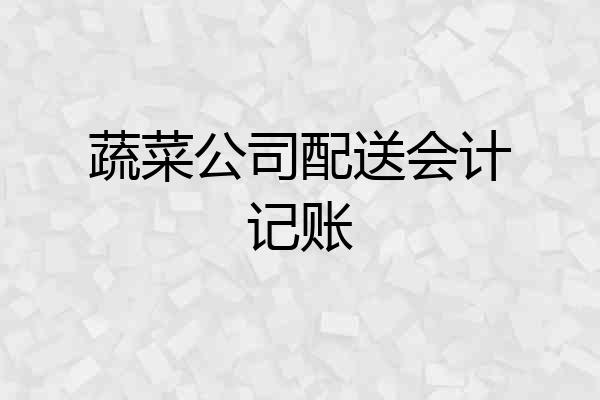 蔬菜公司配送会计记账